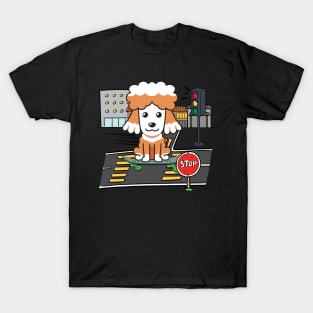 Funny poodle is on a skateboard T-Shirt